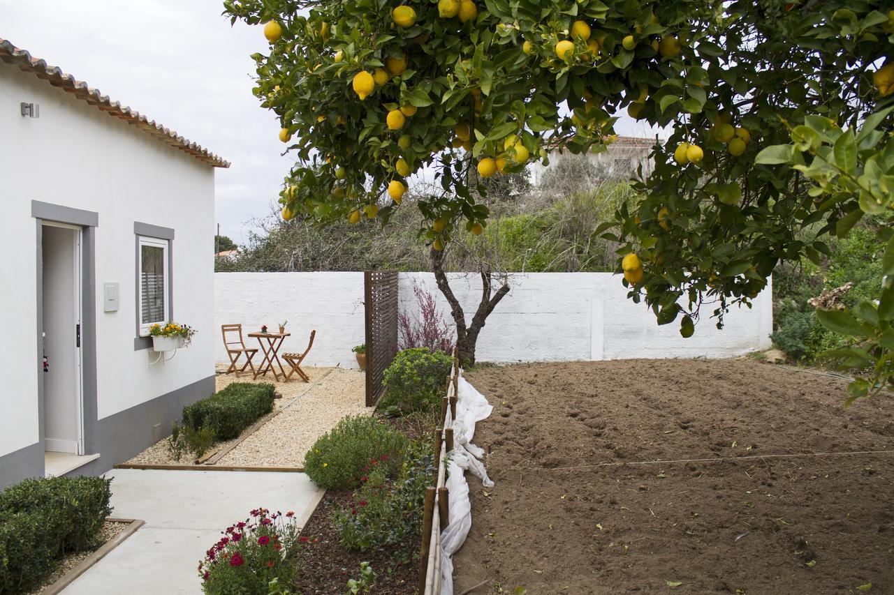 Casa Do Avo Serra レイリア エクステリア 写真