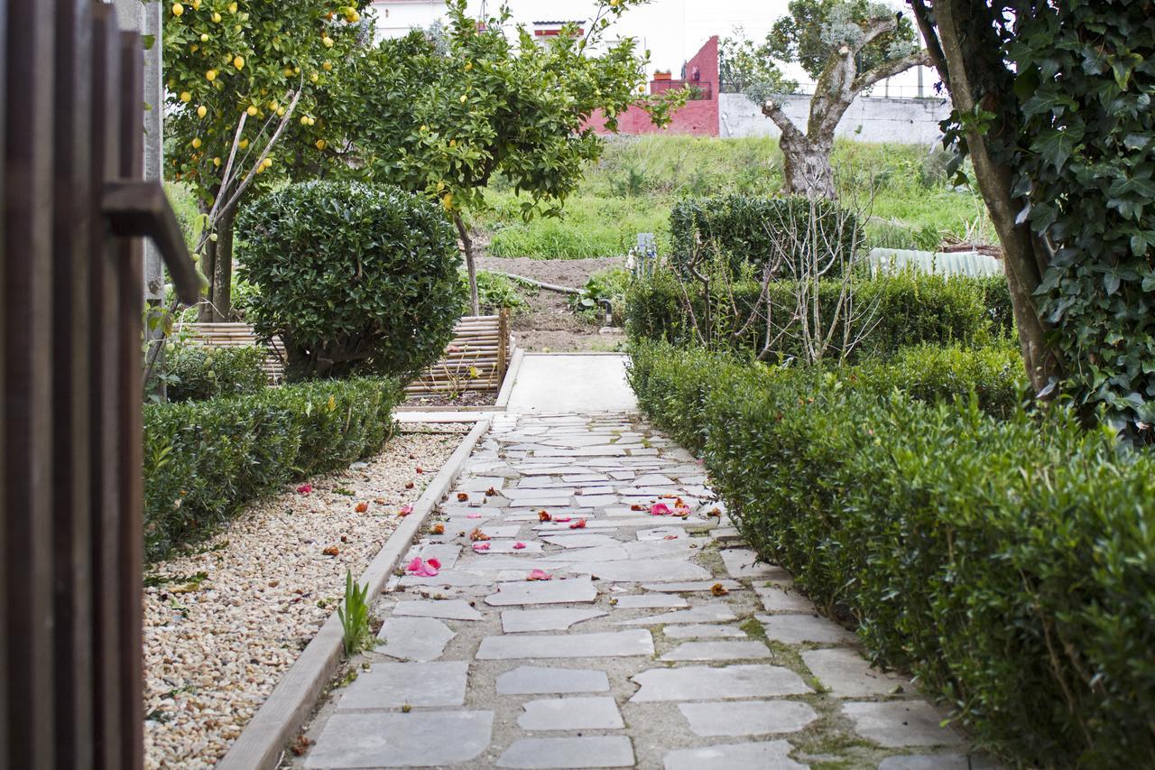 Casa Do Avo Serra レイリア エクステリア 写真