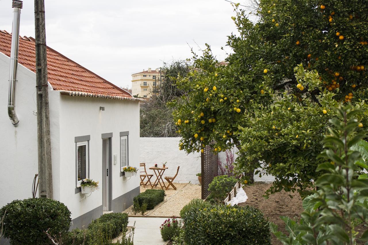 Casa Do Avo Serra レイリア エクステリア 写真